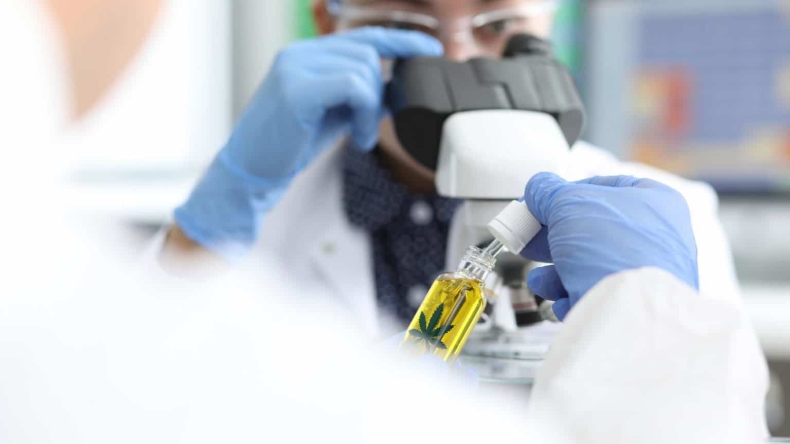 Two people in a laboratory, one using a microscope while the other examines a bottle labeled with a cannabis leaf.