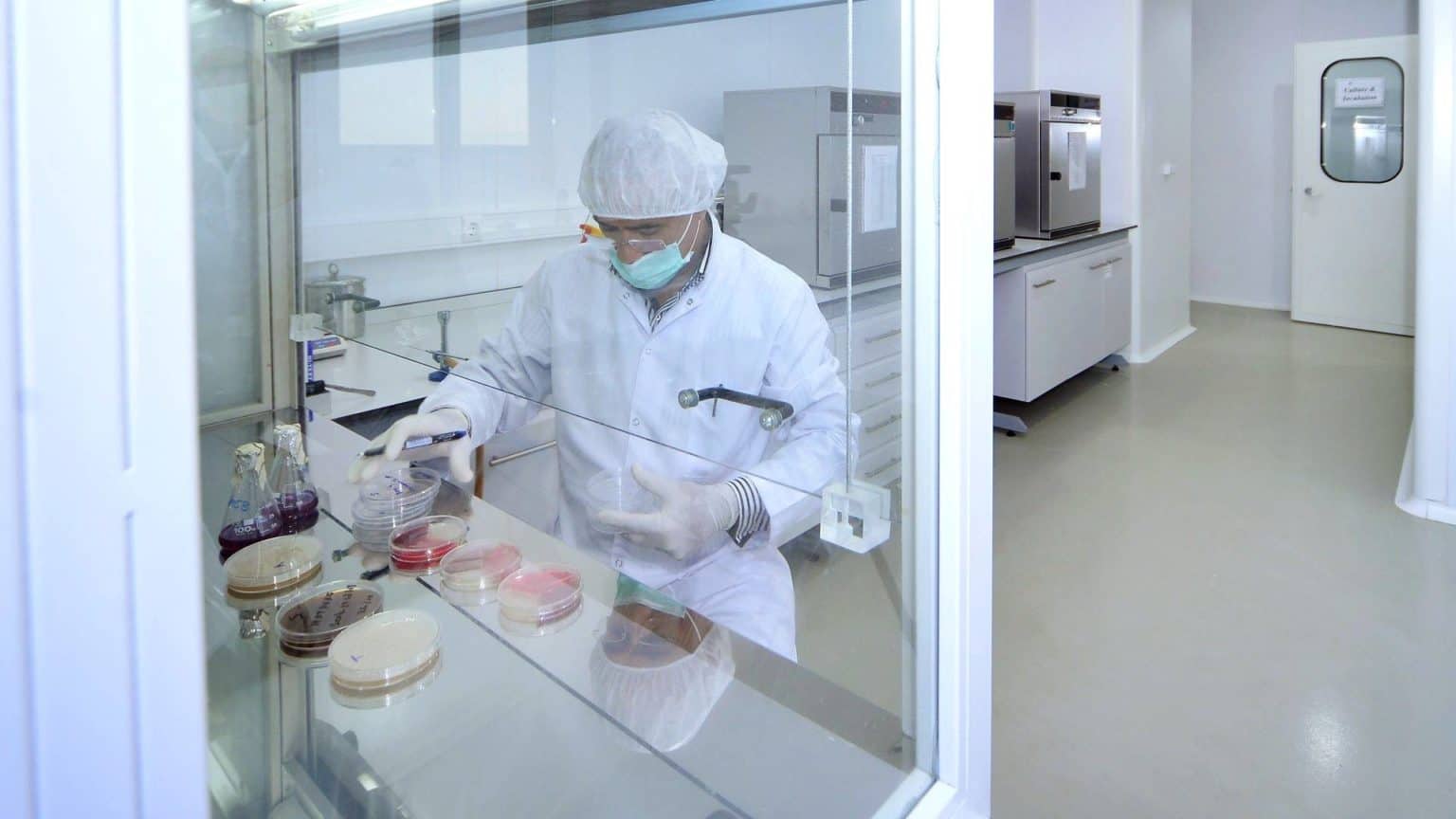 Person wearing protective equipment working under a laboratory fume hood.