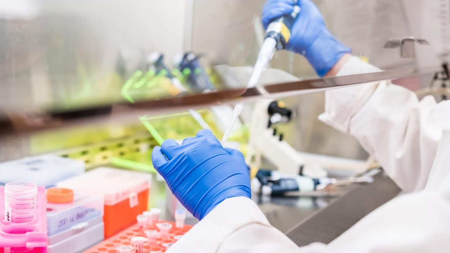 Blue-gloved hands working under a laboratory fume hood.