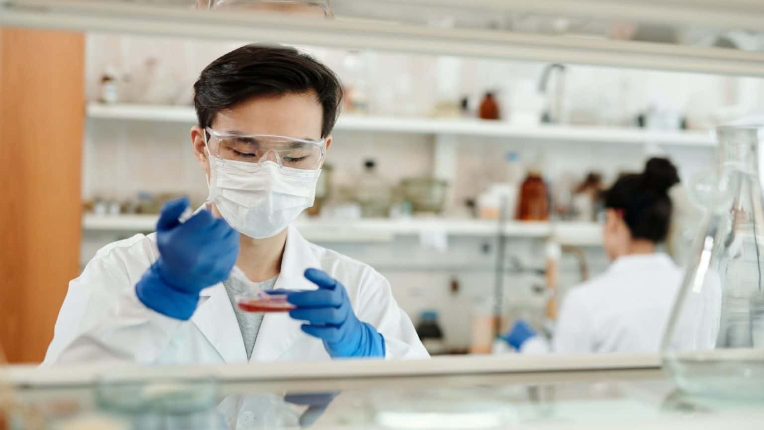People working in a laboratory setting, conducting scientific experiments and research activities.