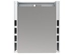 Radioisotope Fume Hood