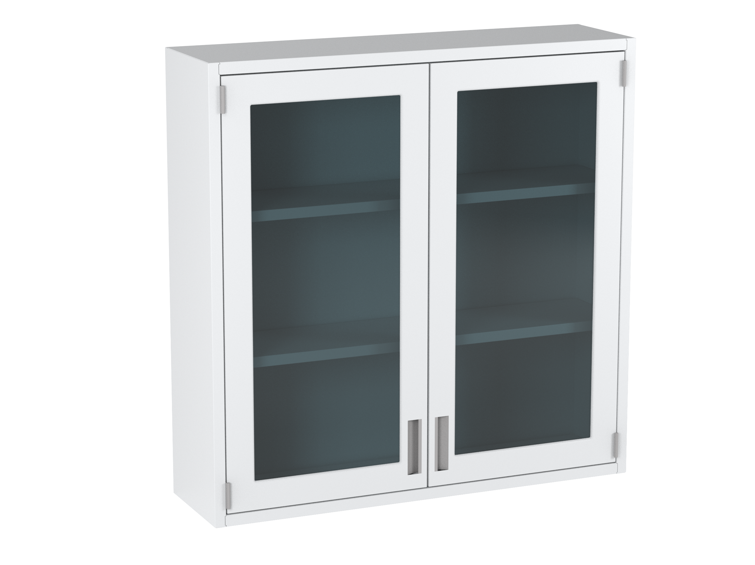 Wall Cases with Shelves